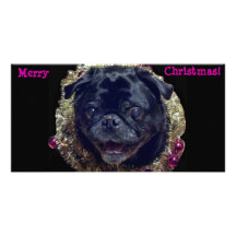 Crazy Christmas Pug photo card