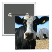 Crazy Cow Pinback Button