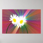 Crazy Daisys Print