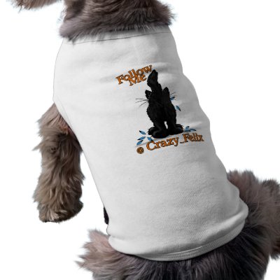Crazy Felix Tweet This! Dog Clothing by CrazyFelixStuff
