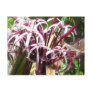 Crazy Flower Postcard