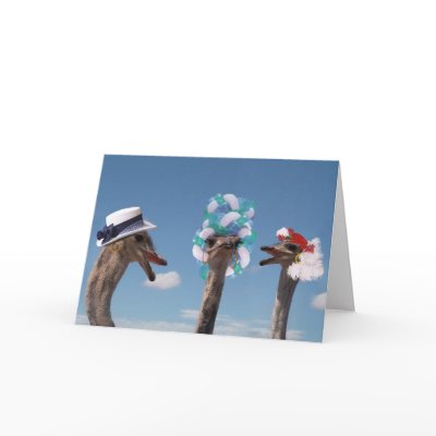 Crazy Hat Day at the Races Cards by gravityx9