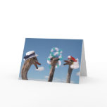 Crazy Hat Day at the Races cards