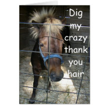 CRAZY HORSE THANK YOU GREETING CARDS