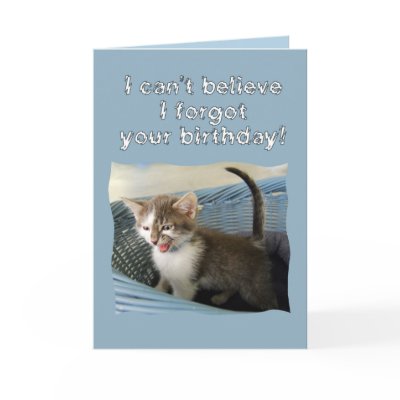 Crazy Kitten Belated Birthday by Fuzzyball