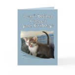 Crazy Kitten Belated Birthday cards