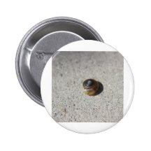 Crazy Snail Button