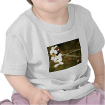 Cream Berries T-shirt