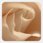 Cream Coloured Rose Wedding Envelope Seal stickers
