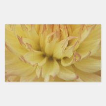 Cream Flower Stickers