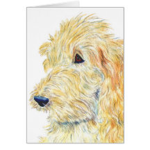 Cream Labradoodle #2 Greeting Card