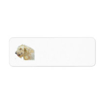 Cream Labradoodle Return Address Label