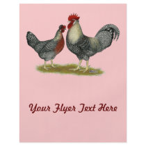 Cream Legbar Chickens