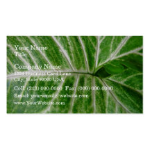 Cream patterns on green leaf business cards