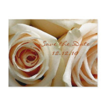 Cream Rose Bouquet - Save the Date Card Post Cards