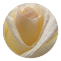 Cream Rose Envelope Closures Sticker