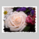 Cream Rose posters