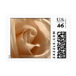 Cream Rose (Small Square) Postage