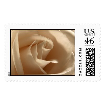 Cream Rose Stamp by TDSwhite