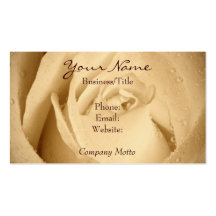 Cream Rose with dewdrops Business Card Template
