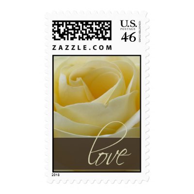 Cream White Bridal Rose Postage Stamp by perfectpostage