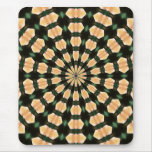 Creamy Orange Modern Rose - Companion