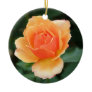 Creamy Orange Modern Rose