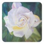 Creamy White Rose - Big Flower on Dark Leafy Back Square Sticker