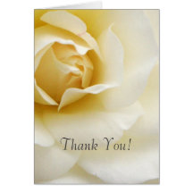 Creamy White Rose Wedding Thank You Card