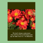 Create you own nature photography poster posters