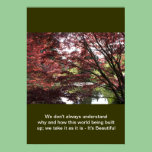 Create you own nature photography poster posters