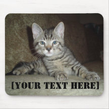 Create your own kitten mouse pad