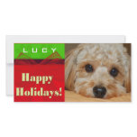 Create your own pet photo holiday card picture card