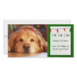 Create your own pet photo holiday card photo cards