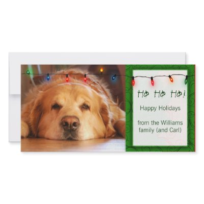 Create your own pet photo holiday card photo cards by aslentz