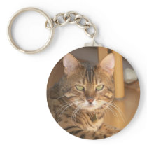 CREATE YOUR OWN PET PHOTO