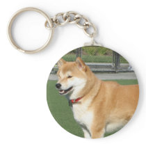CREATE YOUR OWN PET PHOTO