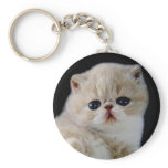 CREATE YOUR OWN PET PHOTO KEYCHAIN