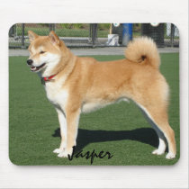 CREATE YOUR OWN PET PHOTO