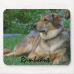 CREATE YOUR OWN PET PHOTO