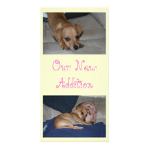 Create Your Own Photo Cards