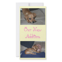 Create Your Own Photo Cards