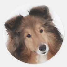 Création de Shelties Autocollants