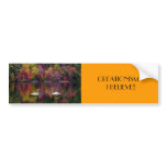 CREATIONISM...I BELIEVE!!... Religious bumper stic