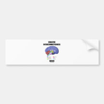 Creative Interconnectedness Inside (Brain) Bumper Stickers