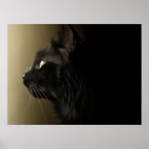 Creature Of Darkness - poster