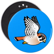 Crécerelle américaine en vol badge