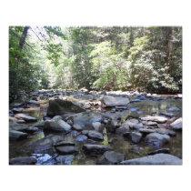 Creek and Rocks Photo Print