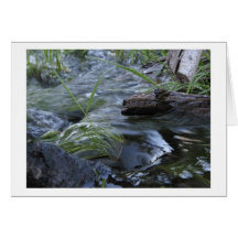 Creek Between Kibbie & Flora Lakes Card