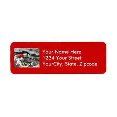 Creek Chub Pikie Redhead Jointed Lure Address Return Address Label by CarolsCamera